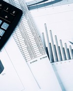 Cebulki, Warren - Cover Pic