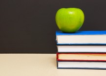 Lewis, Darlene 1016280 - Cover