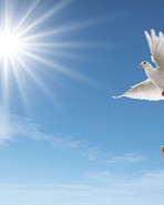 Burke, Ronald - Cover