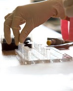 Loberg, Barbara - Stock Photo