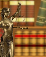 Meekison, David - Stock Cover