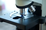 health-care-research-microbiology-microscope